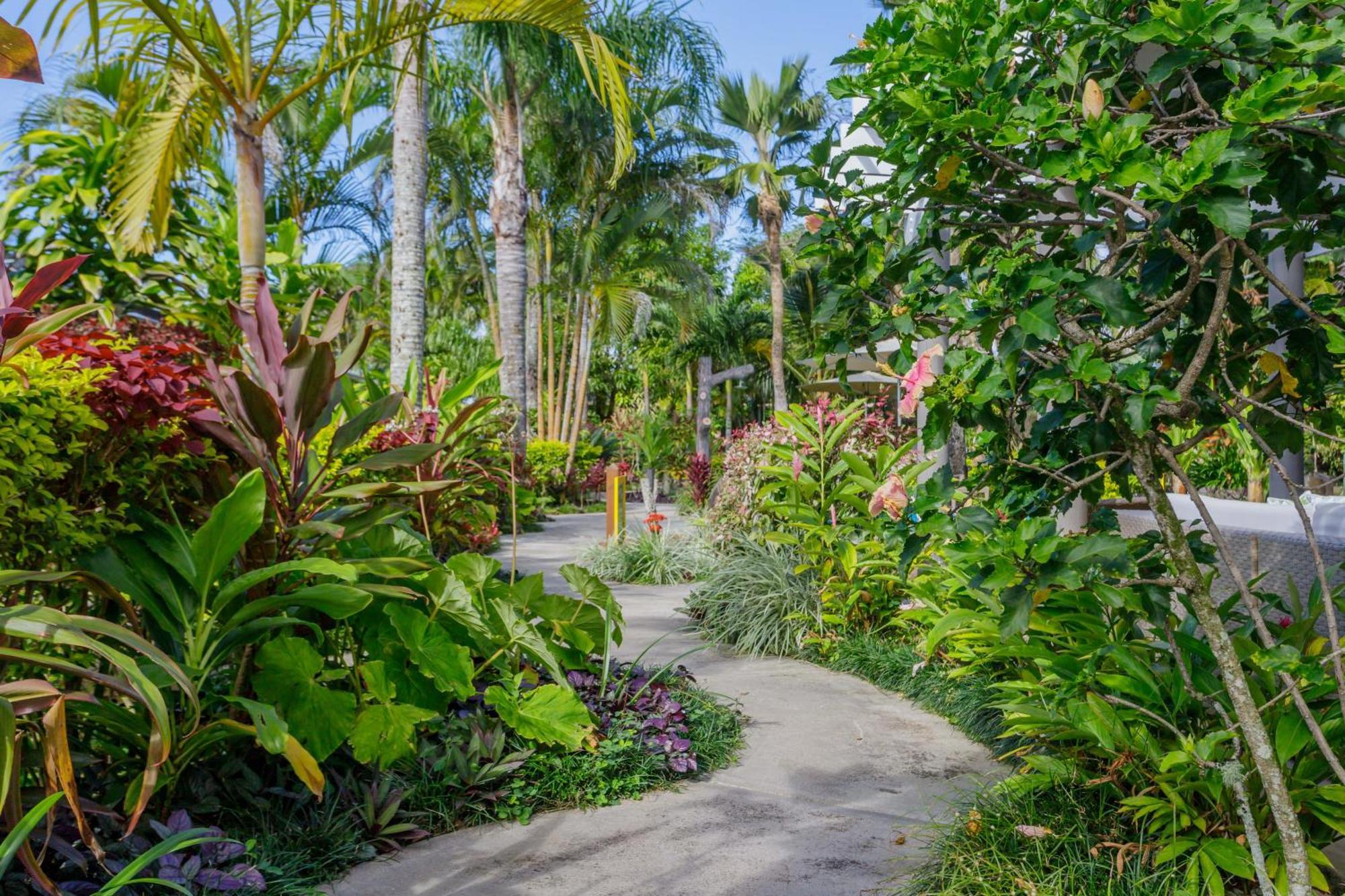 Rarotonga Daydreamer Escape Buitenkant foto