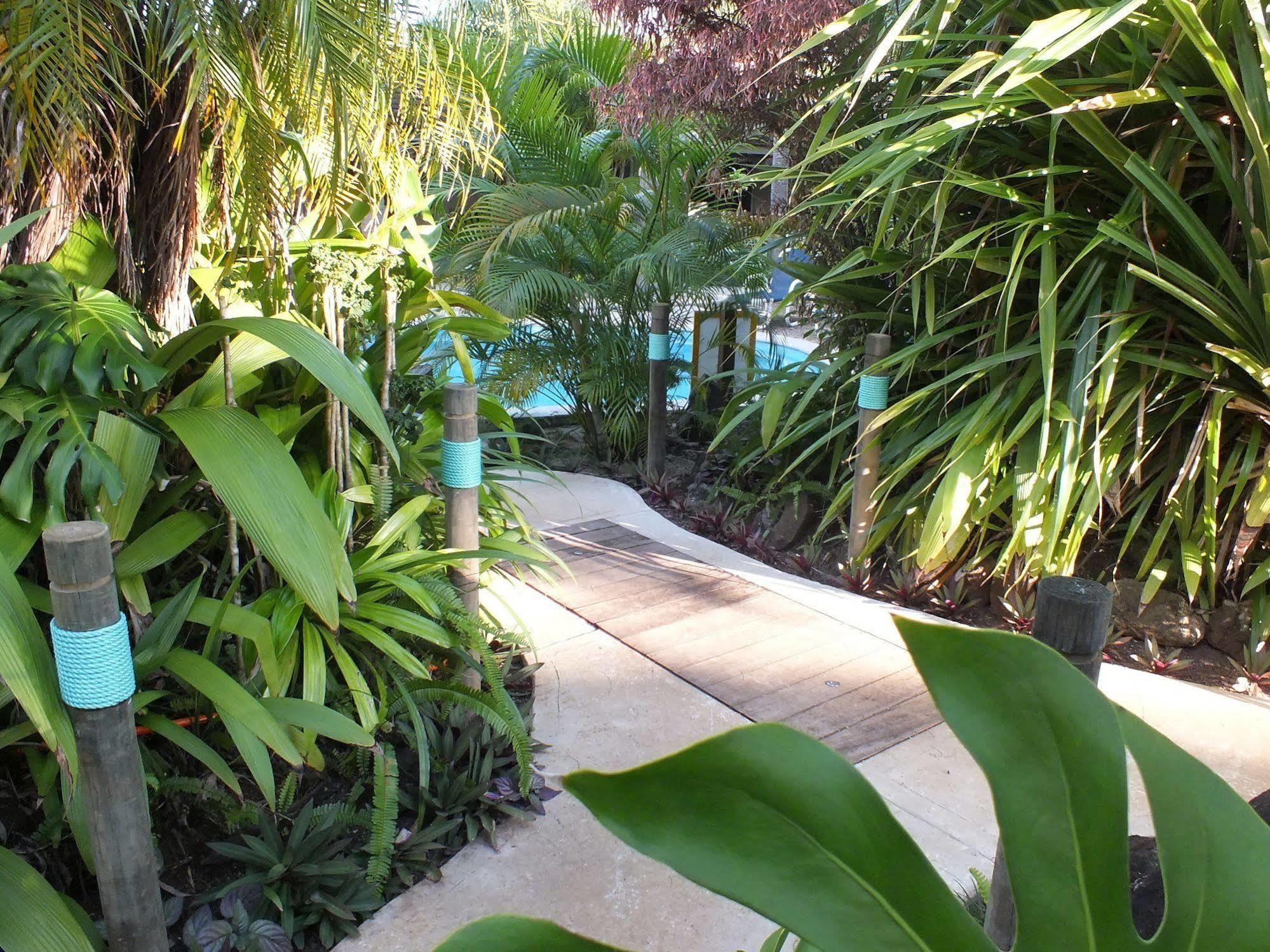 Rarotonga Daydreamer Escape Buitenkant foto