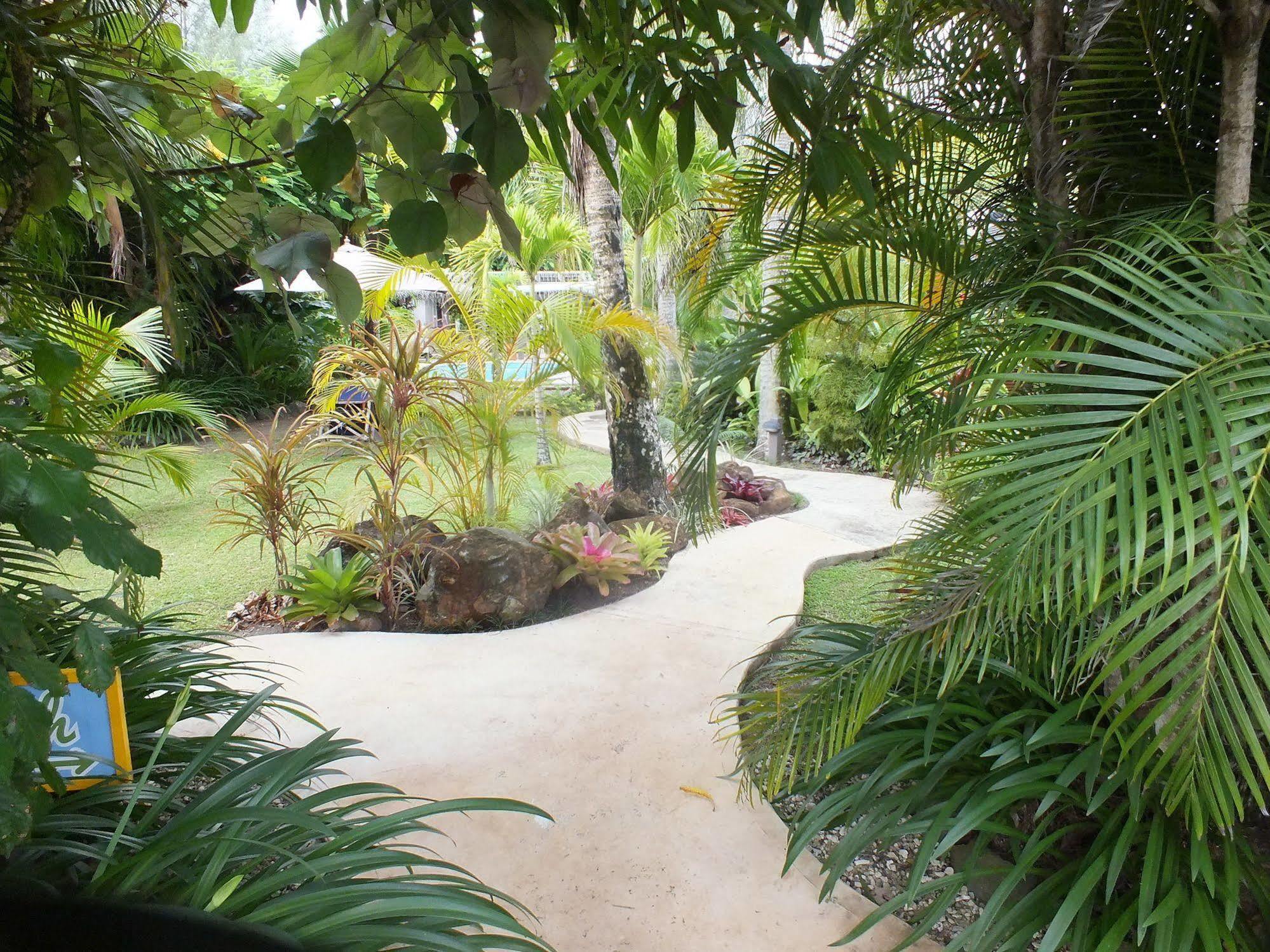 Rarotonga Daydreamer Escape Buitenkant foto